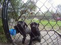 Kids_FL-Day7_11-2016-TurkeyDay (1)